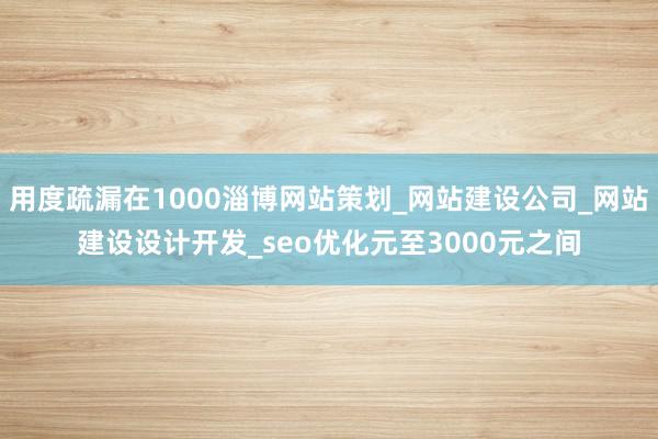 用度疏漏在1000淄博网站策划_网站建设公司_网站建设设计开发_seo优化元至3000元之间
