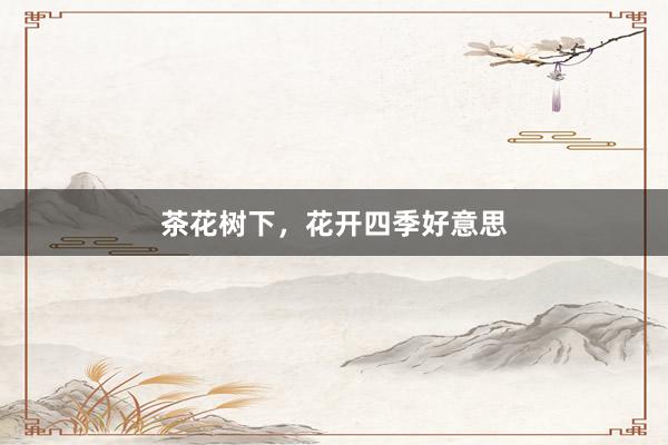 茶花树下，花开四季好意思