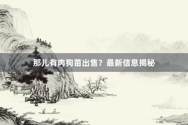 那儿有肉狗苗出售？最新信息揭秘
